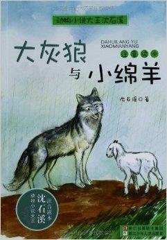 大灰狼最新有声小说，探索声音的魅力与故事的情感深度