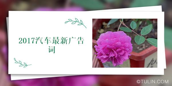 激发创意潮流，引领时代风向的2017最新广告语