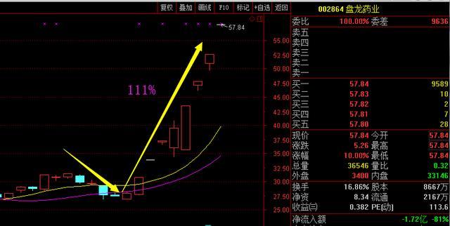 2024澳门最精准跑狗图,实地分析解释定义_1440p28.12