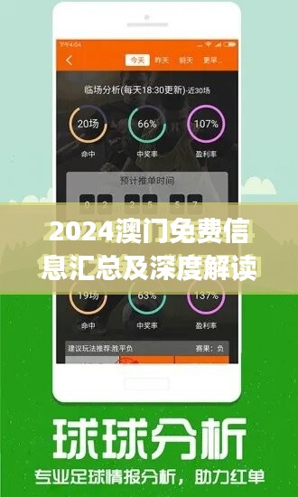 澳门正版精准免费｜实用技巧与详细解析