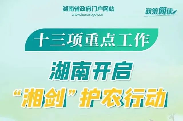 厦门杏林最新司机招工信息解析与探讨