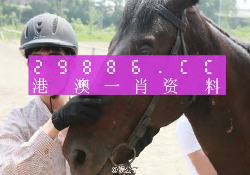 澳门今晚一肖必中,数据解析支持计划_标配版73.617