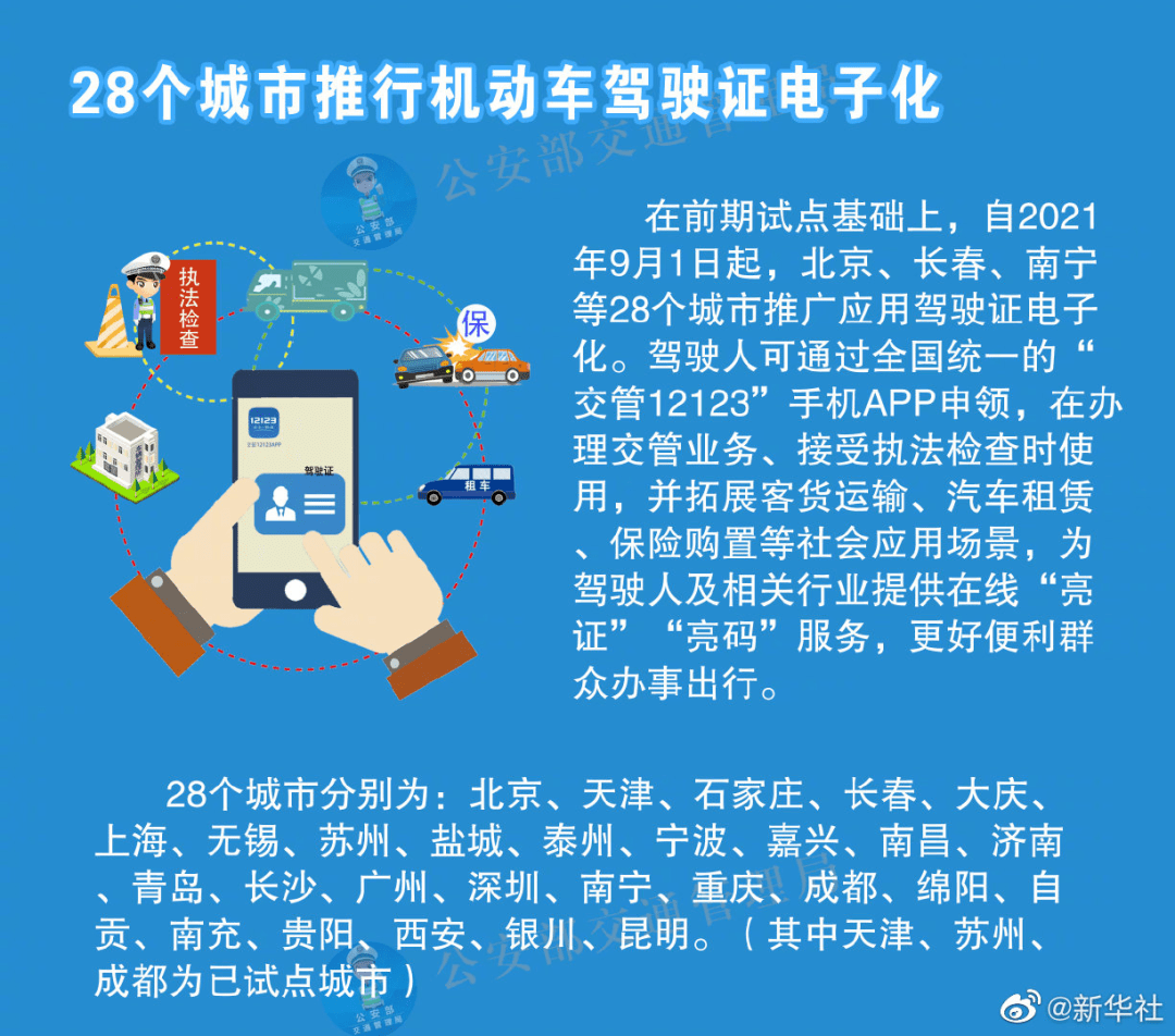 2024年天天彩资料免费大全,灵活操作方案_黄金版51.630