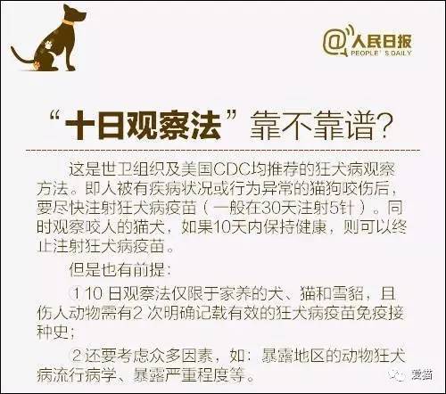 澳门跑狗图免费正版图2024年,准确资料解释落实_经典款93.700