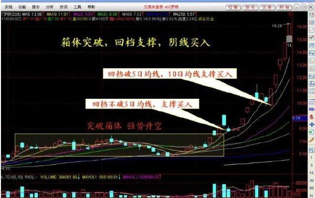 罗顿发展最新公告揭秘，战略方向调整与未来重要更新