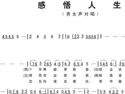 探索生命之音，最新感悟人生的歌曲旋律与意境