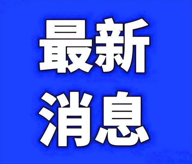 2025年2月5日 第2页