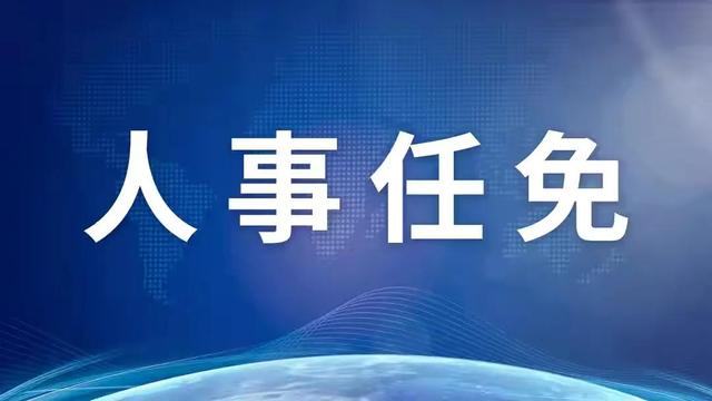 中央最新人事任免动态解析