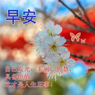 2023最新版祝福图片，视觉艺术传递美好祝愿