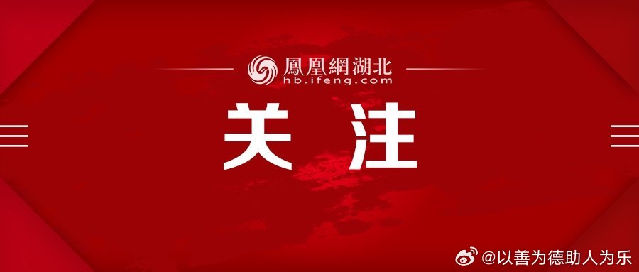 凤凰网时事热点报道，揭示最新社会动态